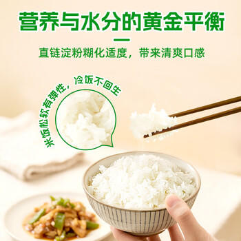 挂绿增城丝苗米10斤 国家地标认证（当季新米）增城特产南方籼米 /粮油调味 /米 /丝苗米 商品图3