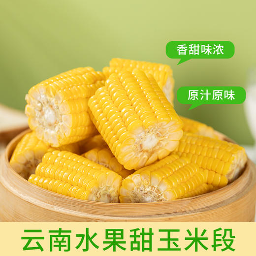 云南水果甜玉米段新鲜真空包装开袋即食玉米代餐学生代餐玉米早餐 商品图1