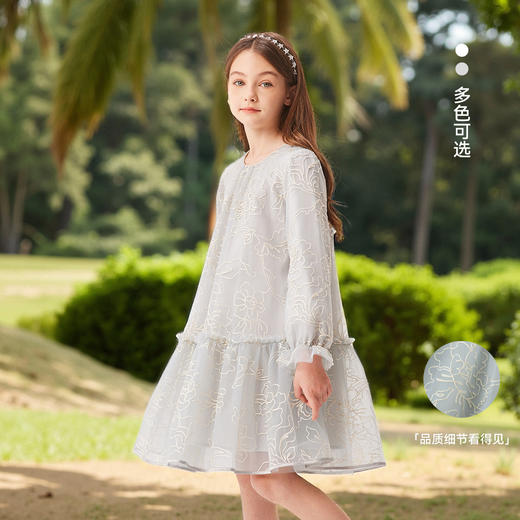 【英氏】【110-170】女童春秋刺绣连衣裙 商品图2