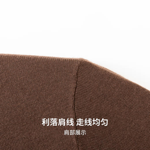 【含绵羊毛】圣得西男士羊毛混纺高密针织衫2025秋季保暖舒适新款毛衣 商品图8