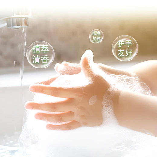 台湾汎奇桧木洗碗液 去油污渍异味植萃洗洁精家用环保清洁不伤手 商品图3