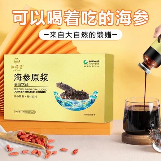 【可以喝的海参❗️海参原浆】匠心熬制，来自大自然的馈赠，真材实料！饮品浓缩液食品口服液礼品袋装 商品图0