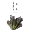 紫罗马生菜 300g 商品缩略图0