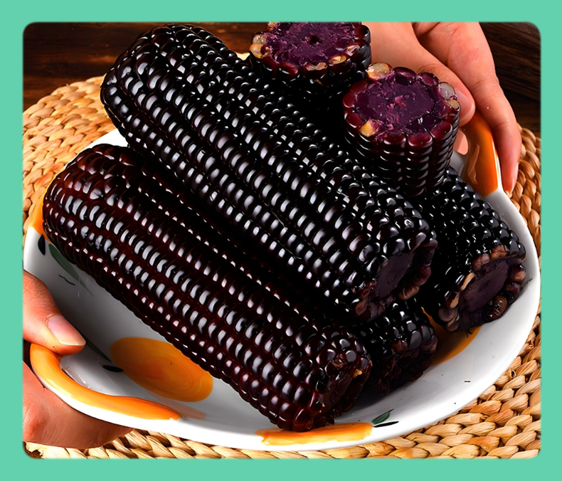 【山西静乐 有机黑糯玉米】有机种植，非转基因，有机认证，古法种植，0添加，不打药，不催熟，真正的有机绿色食品