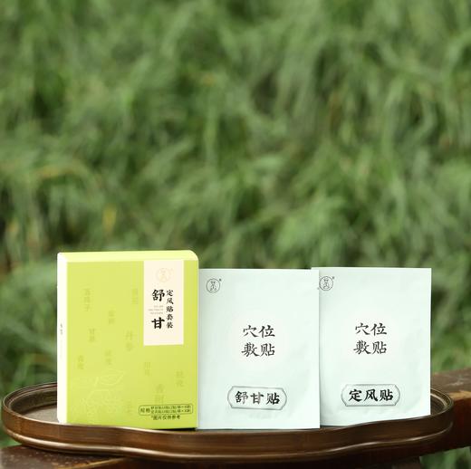 【舒甘定风贴套装】敷贴|草本膏体，双贴分型 商品图0