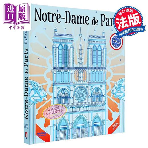 【中商原版】【法文版】巴黎圣母院立体书 2024年法文版 Notre Dame de Paris Version francaise 法文原版 David Hawcock 商品图0