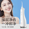 澳得迈（AODMA）手持冲牙器 WT-288 白色 3支喷头 商品缩略图0