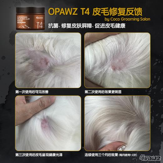 T4 加拿大冰川泥宠物护理泥膜 300g 商品图7