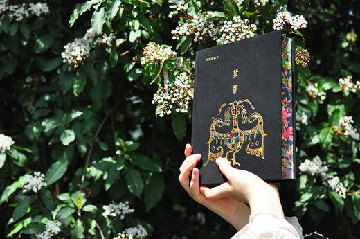 《楚辞译注》（彩图珍藏本）| 享誉40年的经典译注本 豆瓣9.6分口碑之作 全本全注全译 赠藏书票 商品图3