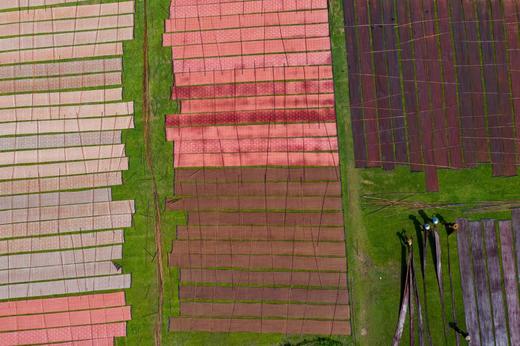 【航拍肇庆】8月18-19日 两天： 航拍七星岩、披云楼、宋城墙、天湖鹭鸟、晒香云纱，揽尽肇庆自然与人文 商品图6