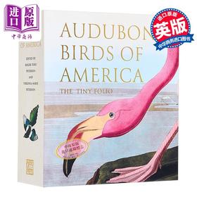 【中商原版】Audubons Birds of America: The Tiny Folio 进口艺术 奥杜邦的美洲鸟类