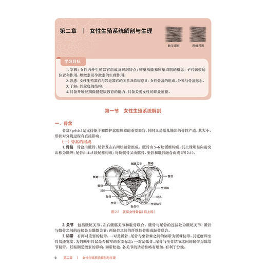 母婴护理学 第4四版 十四五规划教材全国高等职业教育专科教材 简雅娟 陈志美 主编 供护理助产专业用9787117376129人民卫生出版社 商品图4