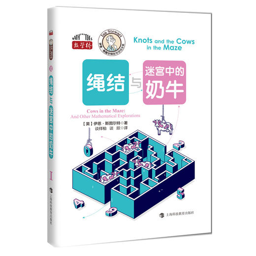 伊恩·斯图尔特数学游戏全集（数学桥第四辑）套装全10册 赠函套+数学折纸 商品图13