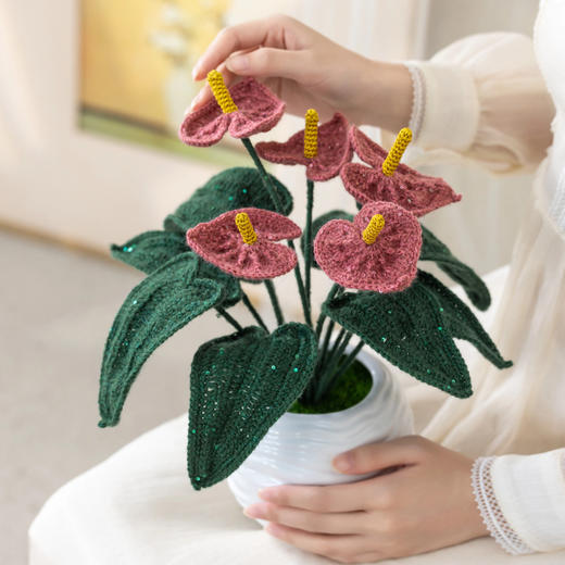 苏苏姐家鸿运当头红掌摆件手工钩针编织材料包毛线diy礼物 商品图1