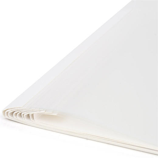 【DZ】得力（deli）3866 热熔封套 热熔装订机专用装订封皮 A4/4mm（10个装） 商品图2