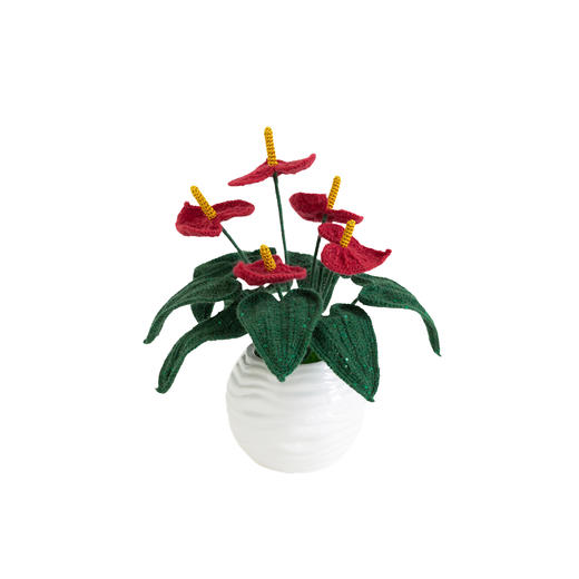 苏苏姐家鸿运当头红掌摆件手工钩针编织材料包毛线diy礼物 商品图4