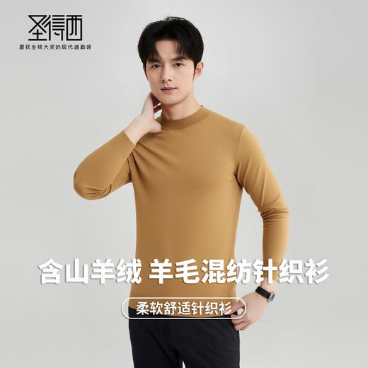 【含绵羊毛】圣得西男士亲肤柔软羊毛混纺高密针织衫2025秋季新款百搭舒适毛衣 商品图2