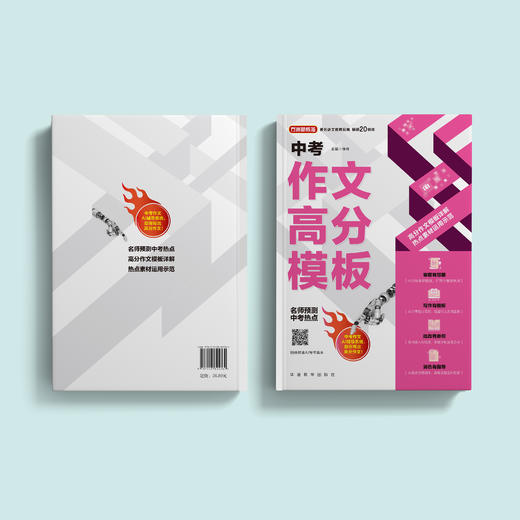《中考作文高分模板》 商品图11