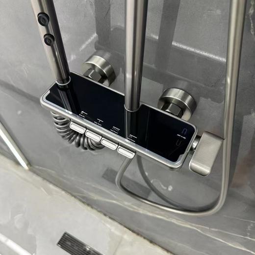 5955  普罗旺斯全铜四档花洒-枪灰 商品图1