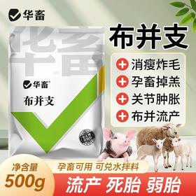 华畜布并统至猪牛羊布氏杆菌布用布并流产消瘦掉毛孕畜可用兽用