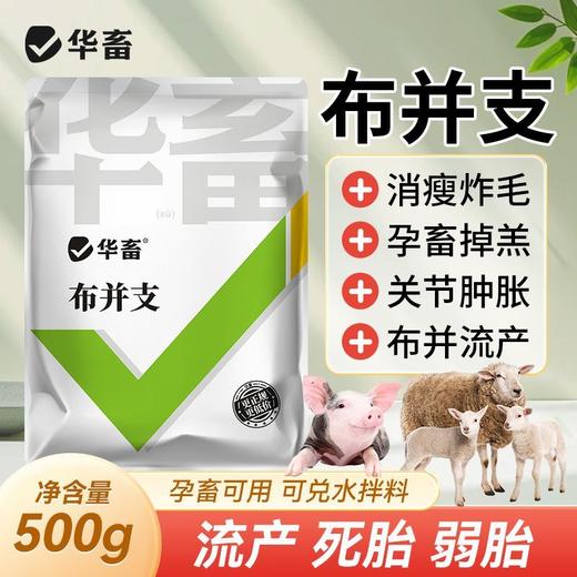 华畜布并统至猪牛羊布氏杆菌布用布并流产消瘦掉毛孕畜可用兽用 商品图0
