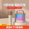 康佳K歌小音响带麦克风话筒蓝牙无线连接家用户外影院级音响 商品缩略图7