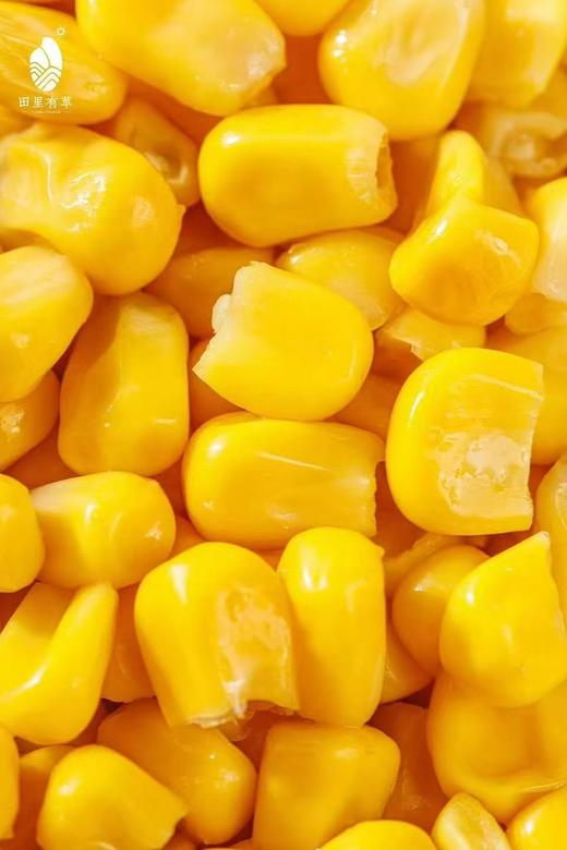 周四取货：【田里有草玉米粒】一袋80克 商品图2