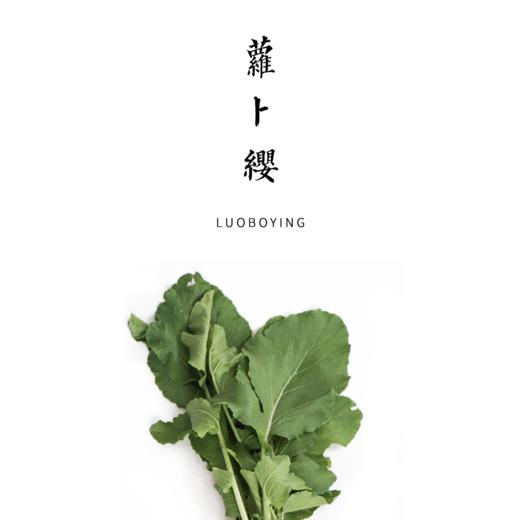 白萝卜缨  300g 商品图0