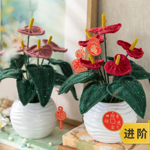 苏苏姐家鸿运当头红掌摆件手工钩针编织材料包毛线diy礼物 商品图0