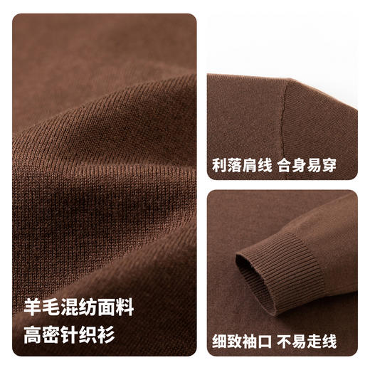 【含绵羊毛】圣得西男士羊毛混纺高密针织衫2025秋季保暖舒适新款毛衣 商品图5