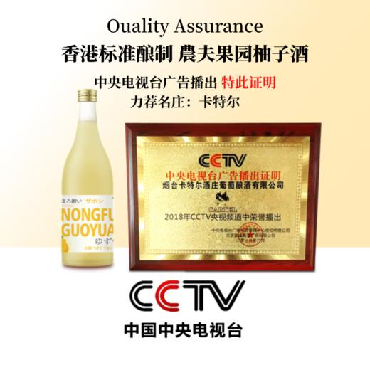 【  1919全球酒水连锁专柜款   供港标准酿造  】  農夫果园夺命17%度柚柚伏特加vodka 商品图3