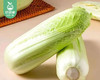 【叼鲜蔬】云南新鲜龙牙白菜/1份（约600g） 商品缩略图2