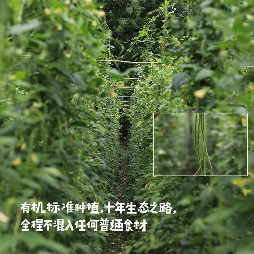 生态泡菜/泡豇豆/酸豇豆/酸豆角 | 生态种植，不用农药的豇豆，全有机标准配料，爽口酸脆 商品图2