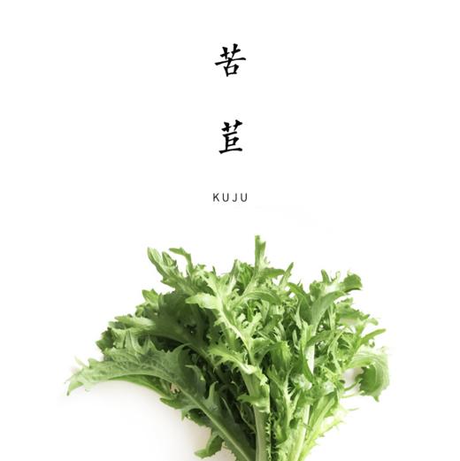 苦苣 300g 商品图0