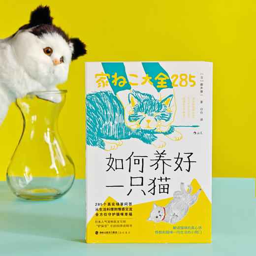 如何养好一只猫：解读猫咪的真心话 商品图2
