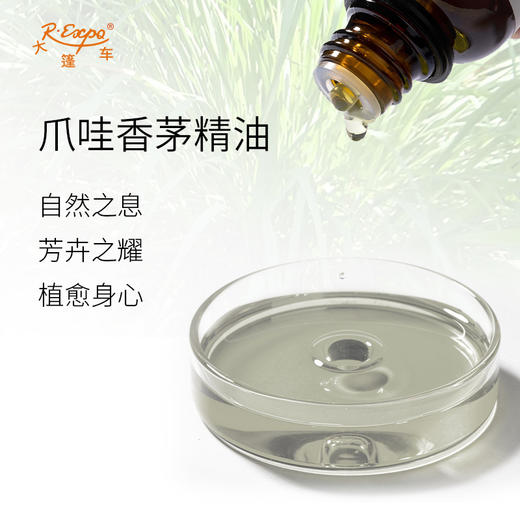 爪哇香茅精油 印尼进口单方精油原料批发芳疗护理调香 大篷车精油 商品图1