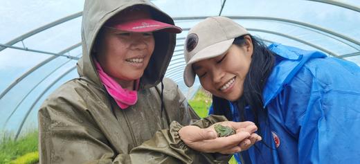 生态冬麦仁米 | 330天生长周期|食药同源 | 合作生产 商品图4