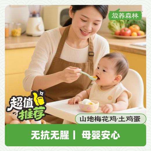 山地梅花鸡土鸡蛋 商品图2