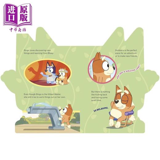 预售 【中商原版】Bluey All About Bingo 小蓝狗布鲁伊 关于宾格 英文原版进口图书 迪士尼Disney+卡通动画 纸板书 商品图2