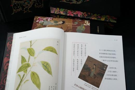 《楚辞译注》（彩图珍藏本）| 享誉40年的经典译注本 豆瓣9.6分口碑之作 全本全注全译 赠藏书票 商品图6