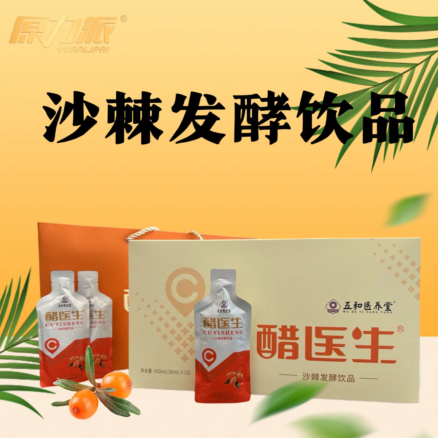 醋医生®️沙棘发酵饮品