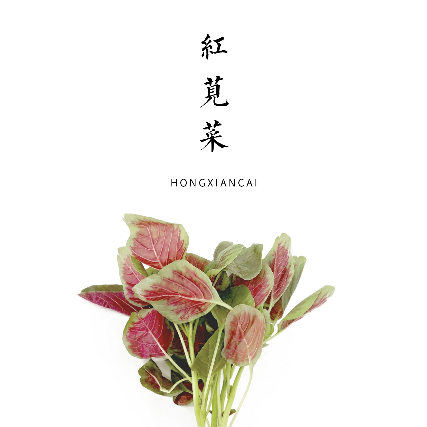 红苋菜 300g