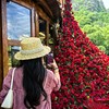 优雅法式珍珠草帽夏天遮阳防晒太阳帽旅游度假连衣裙CP 商品缩略图2