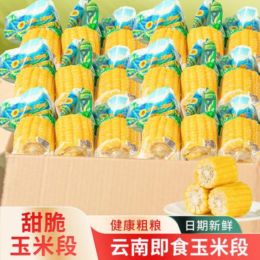 云南水果甜玉米段新鲜真空包装开袋即食玉米代餐学生代餐玉米早餐 商品图0