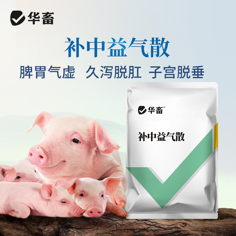 华畜补中益气散500g 脾胃气虚久泻脱肛 母畜产后用