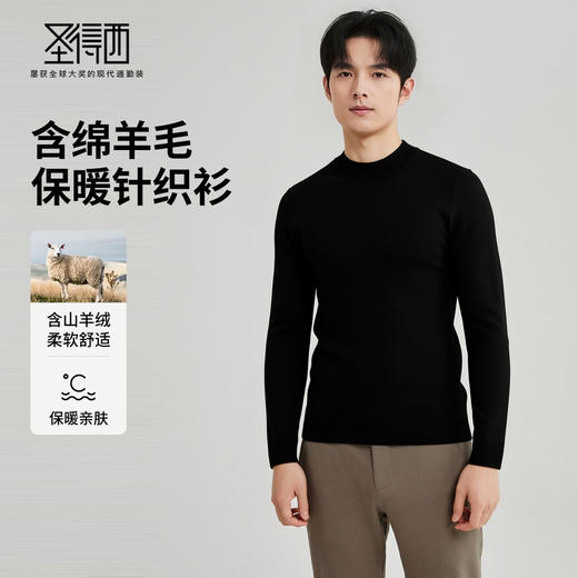 【含绵羊毛】圣得西男士亲肤柔软羊毛混纺高密针织衫2025秋季新款百搭舒适毛衣 商品图1