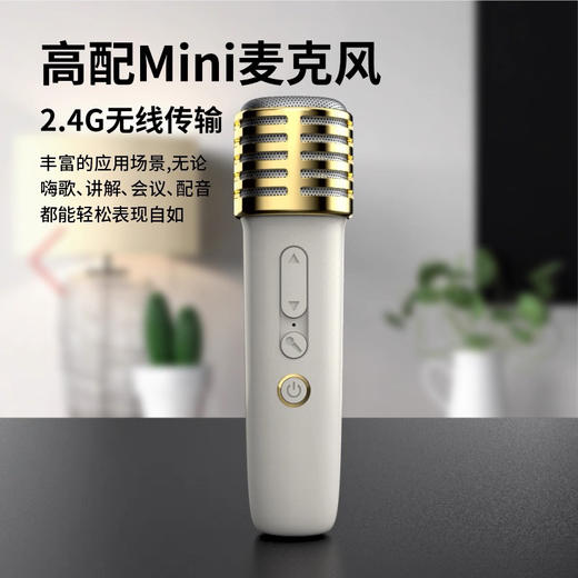 康佳K歌小音响带麦克风话筒蓝牙无线连接家用户外影院级音响 商品图2