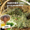 生态荠菜干（合作生产 ）| Eco-dried shepherd's purse | Coproduction 商品缩略图0