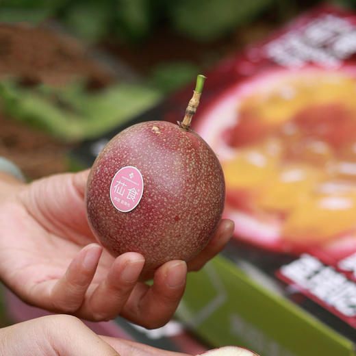 【爽甜直接吃！】苮食金都3号百香果 九甜一酸黄金比例 果香浓郁 生态种植 商品图1