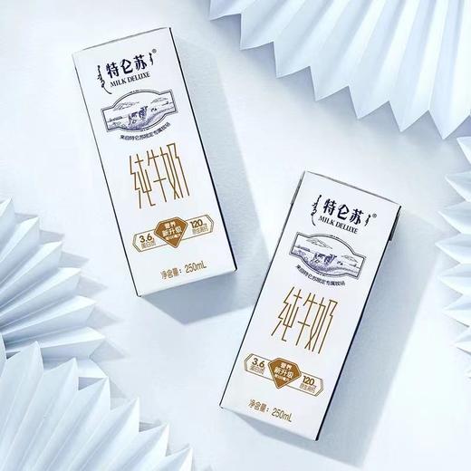 【自营】蒙牛特仑苏纯牛奶250*12盒整箱 商品图1